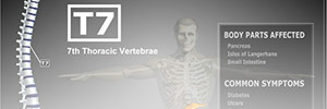 spine_2_100x300.jpg